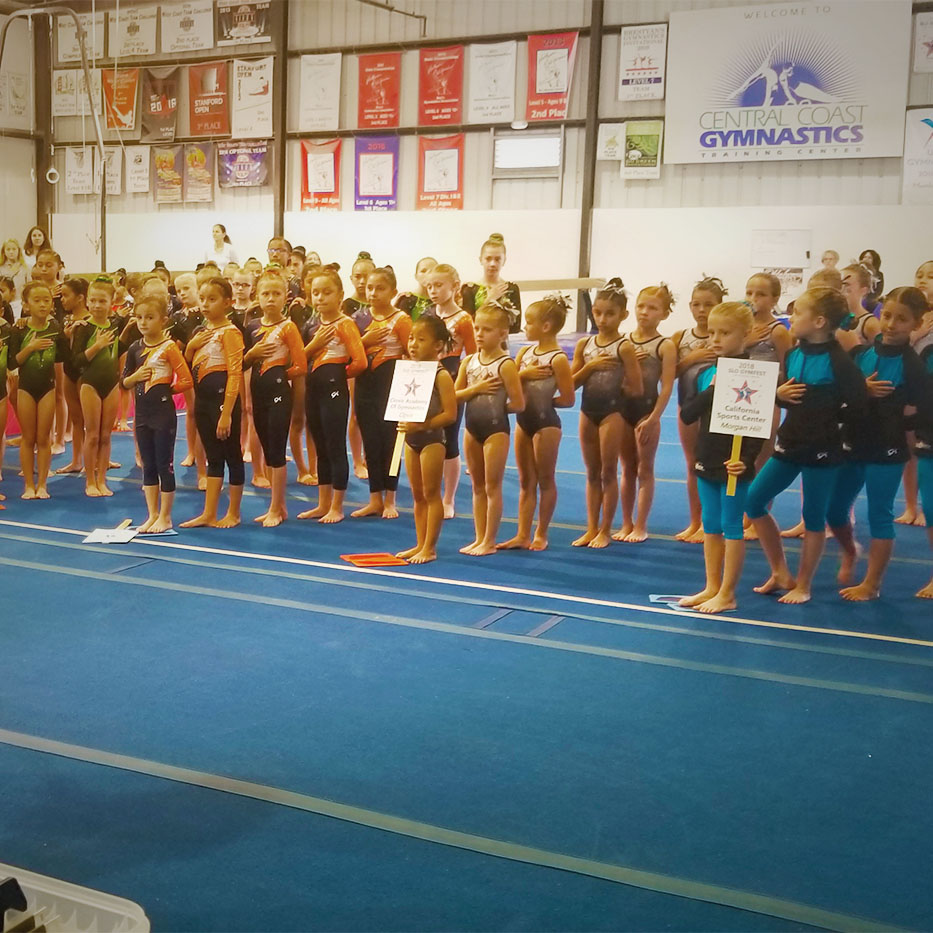 lines of competitive gymnasts